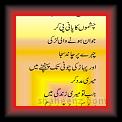 Dr abrar 02 * 24.05.2007 * 299 x 620 * (33KB)